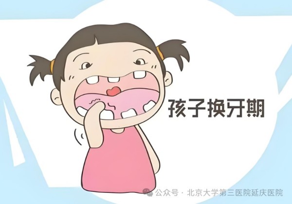 图片19.jpg 图片19.jpg