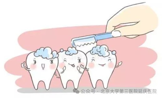 图片27.jpg 图片27.jpg