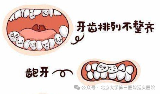 图片29.jpg