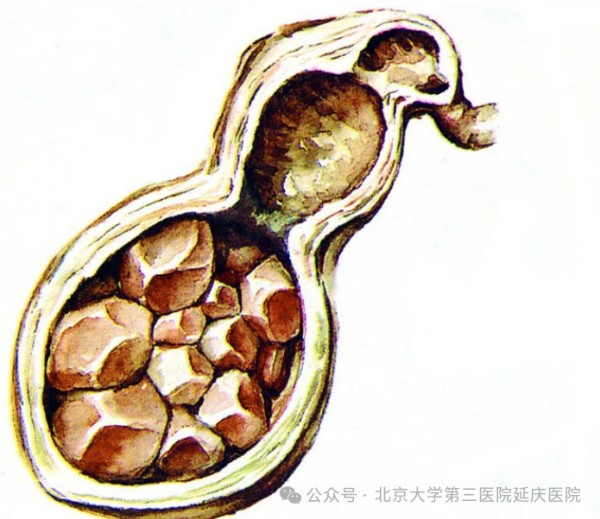 图片6.jpg 图片6.jpg