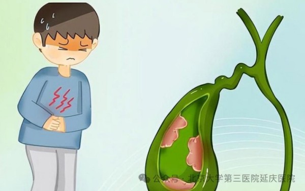 图片8.jpg 图片8.jpg