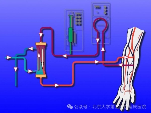 图片11.jpg