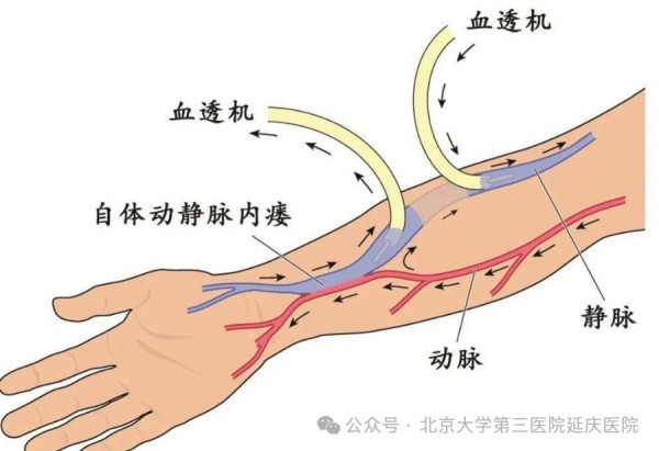 图片12.jpg