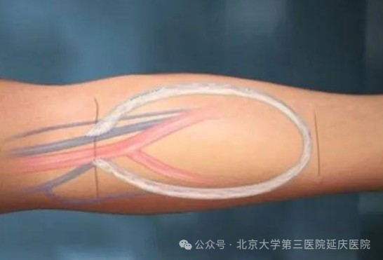 图片13.jpg