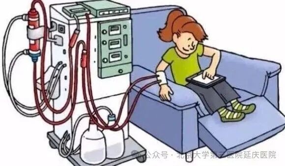 图片14.jpg