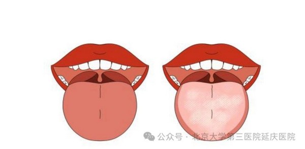 图片17.jpg