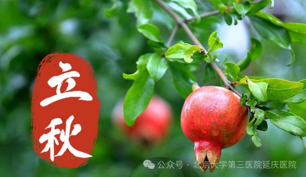 图片22.jpg