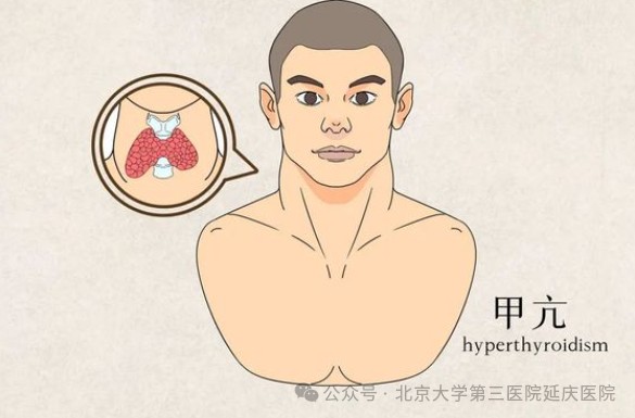 图片13.jpg 图片13.jpg