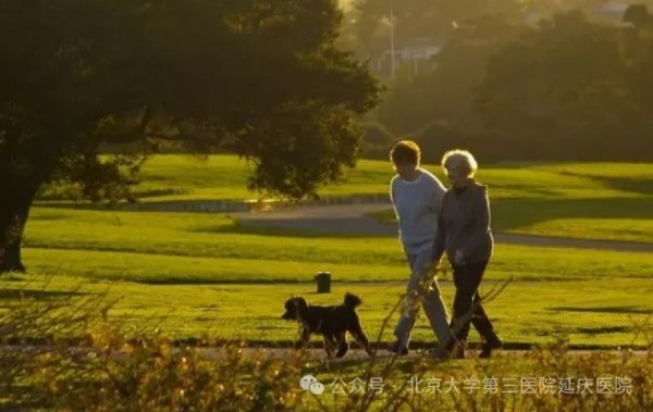 图片16.jpg 图片16.jpg