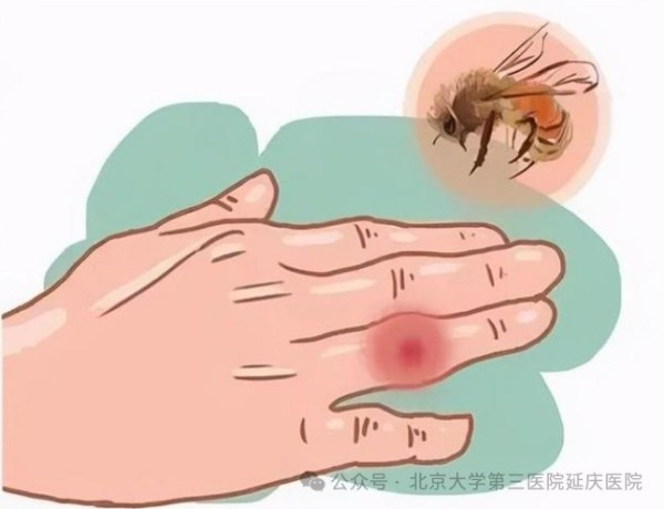 图片18.jpg 图片18.jpg
