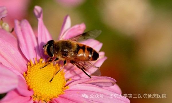 图片19.jpg 图片19.jpg