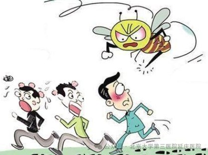 图片22.jpg 图片22.jpg