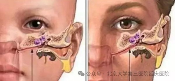 图片25.jpg