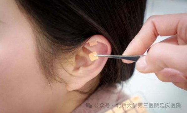 图片 6.jpg