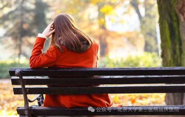 图片27.jpg