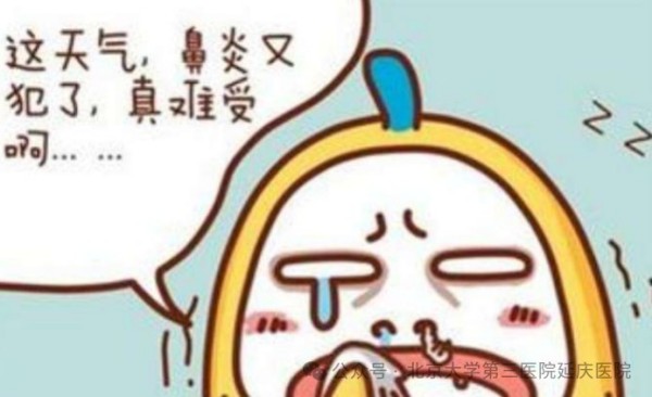 图片21.jpg