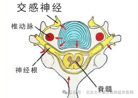 图片23.jpg