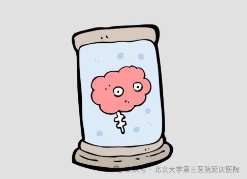 图片3.jpg 图片3.jpg