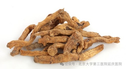 图片21.jpg 图片21.jpg