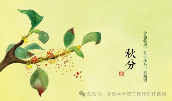 图片31.jpg 图片31.jpg