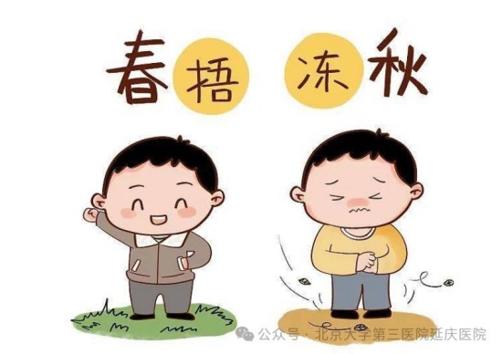 图片32.jpg 图片32.jpg