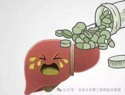图片15.jpg